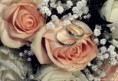 /album/fotogalerie-svatebni-foto/alca-a-michal-img-2334uf-1-jpg/